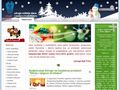 CMS web stranice